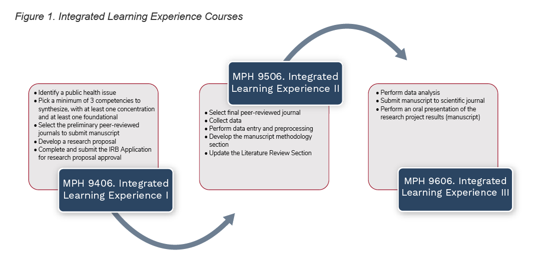 Figure 1. Integrated Learning Experience Courses