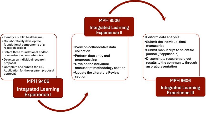 Figure 1. Integrated Learning Experience Courses