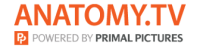 Anatomy TV logo Athens